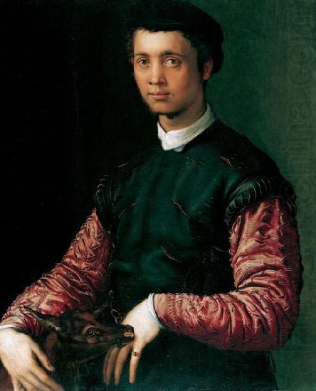 Francesco Salviati Bildnis eines jungen Mannes china oil painting image